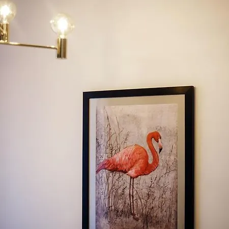 Flamingo Apartment *